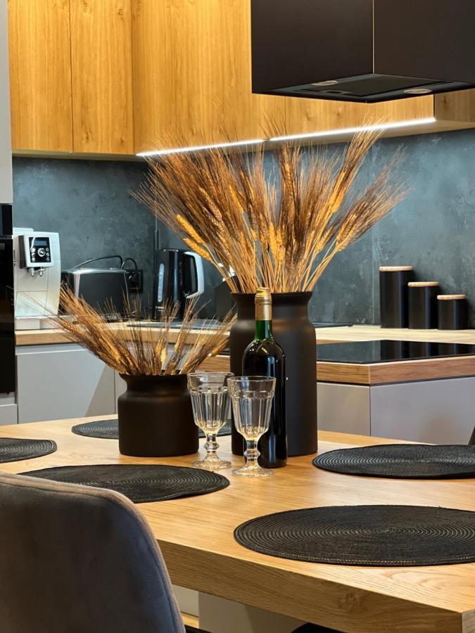 Family & Business Elegant Apartments, Kadzielnia, Wdk, Stadion Korona -1 Bedroom, Terrace, Garage, New! キェルツェ エクステリア 写真
